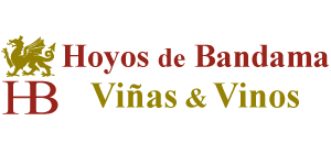 Bodega Hoyos de Bandama